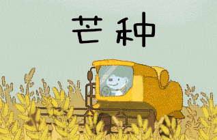 ff5114d6b8a8b7bd9221d9ed588af743_t01e0407c4de7557581.gif