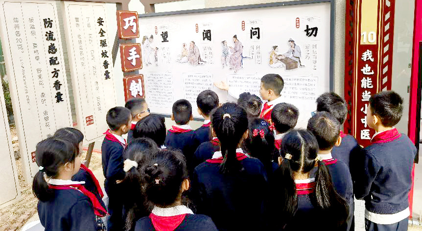 廣東廣州：院校攜手播下中醫(yī)藥文化“種子”